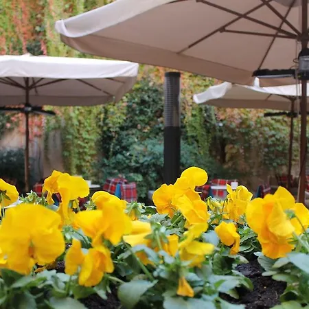 El Coloquio Valladolid