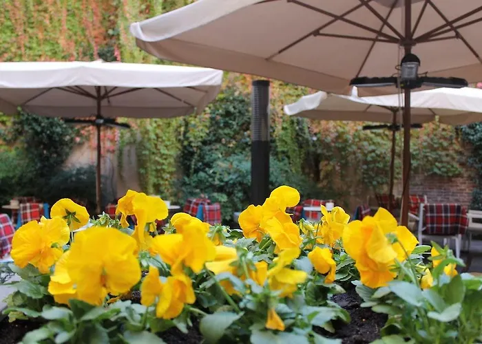 Dorma El Coloquio Valladolid